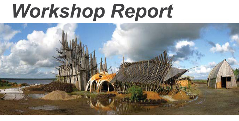 WorkshopReport081129