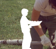 top photo 01
